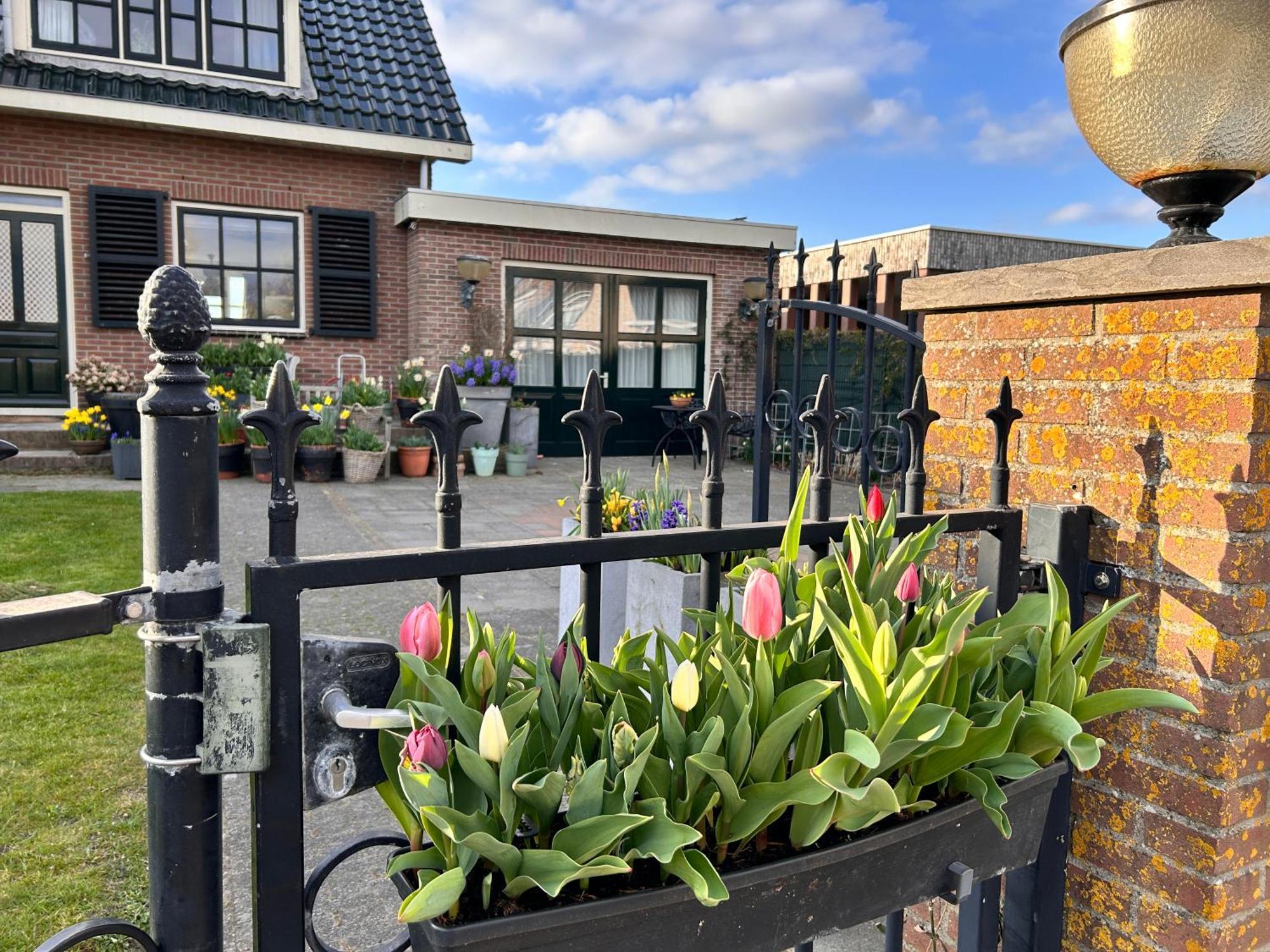Flowerbed Voorhout Exterior photo